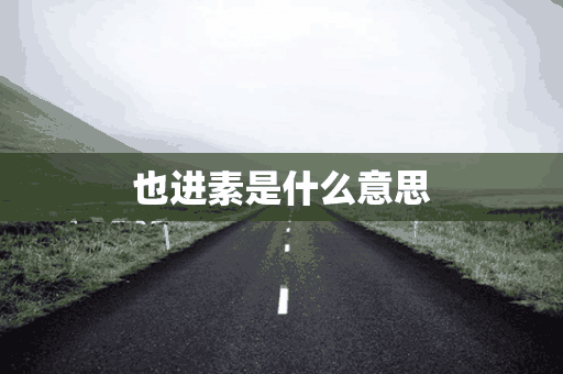 也进素是什么意思